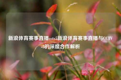 新浪体育赛事直播cctv5新浪体育赛事直播与CCTV-5的深度合作解析