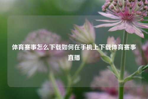 体育赛事怎么下载如何在手机上下载体育赛事直播