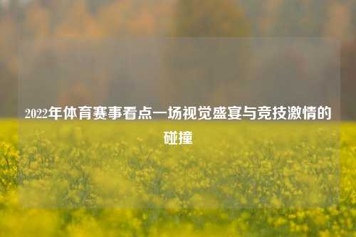 2022年体育赛事看点一场视觉盛宴与竞技激情的碰撞