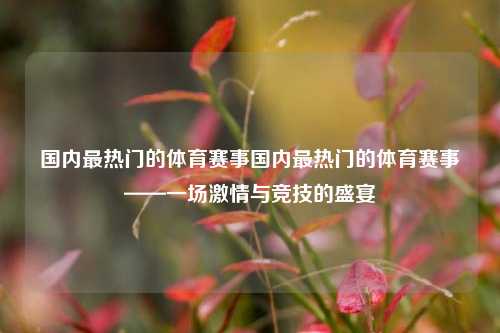 国内最热门的体育赛事国内最热门的体育赛事——一场激情与竞技的盛宴