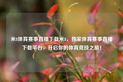 米8体育赛事直播下载米8，独家体育赛事直播下载平台，开启你的体育竞技之旅！