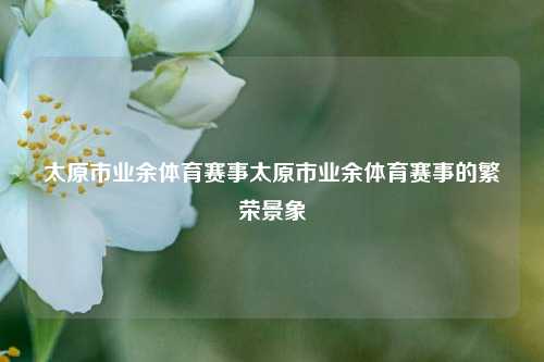 太原市业余体育赛事太原市业余体育赛事的繁荣景象