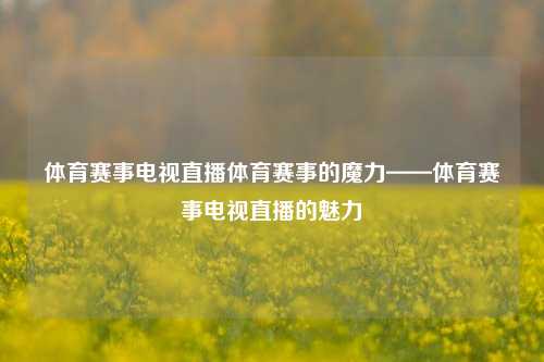 体育赛事电视直播体育赛事的魔力——体育赛事电视直播的魅力