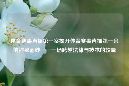 体育赛事直播第一案揭开体育赛事直播第一案的神秘面纱——一场跨越法律与技术的较量