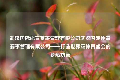 武汉国际体育赛事管理有限公司武汉国际体育赛事管理有限公司——打造世界级体育盛会的幕后功臣