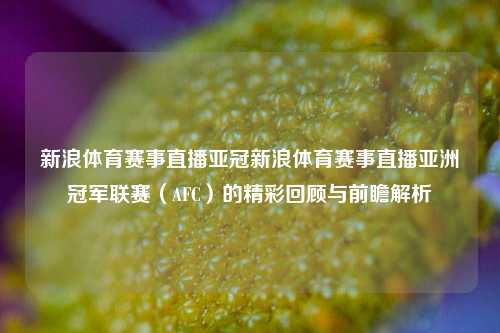 新浪体育赛事直播亚冠新浪体育赛事直播亚洲冠军联赛（AFC）的精彩回顾与前瞻解析