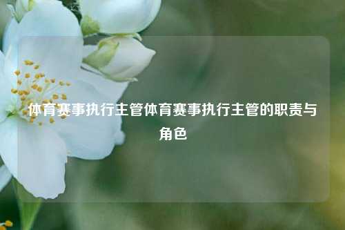 体育赛事执行主管体育赛事执行主管的职责与角色