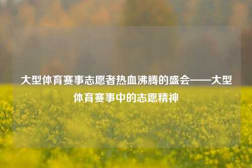 大型体育赛事志愿者热血沸腾的盛会——大型体育赛事中的志愿精神