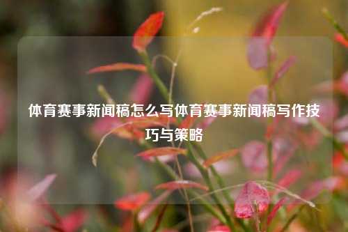 体育赛事新闻稿怎么写体育赛事新闻稿写作技巧与策略
