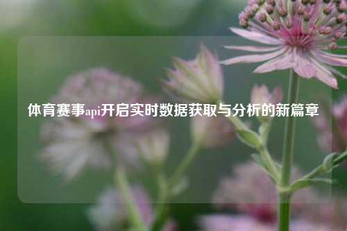 体育赛事api开启实时数据获取与分析的新篇章