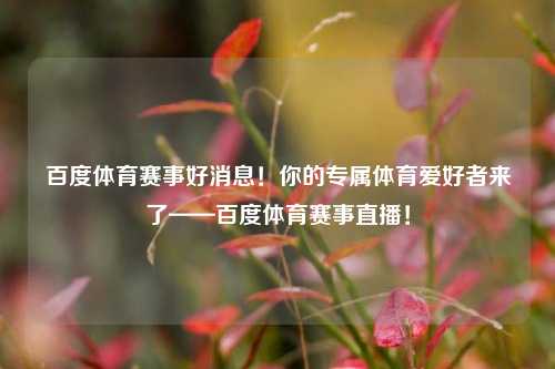 百度体育赛事好消息！你的专属体育爱好者来了——百度体育赛事直播！