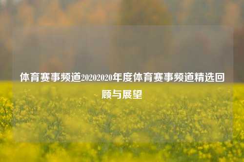 体育赛事频道20202020年度体育赛事频道精选回顾与展望
