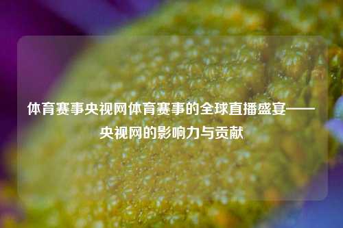 体育赛事央视网体育赛事的全球直播盛宴——央视网的影响力与贡献