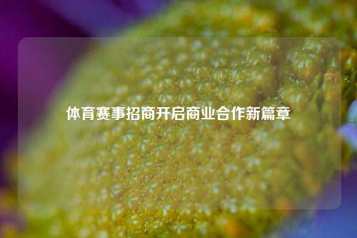 体育赛事招商开启商业合作新篇章