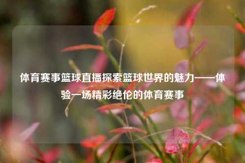 体育赛事篮球直播探索篮球世界的魅力——体验一场精彩绝伦的体育赛事