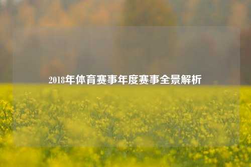 2018年体育赛事年度赛事全景解析