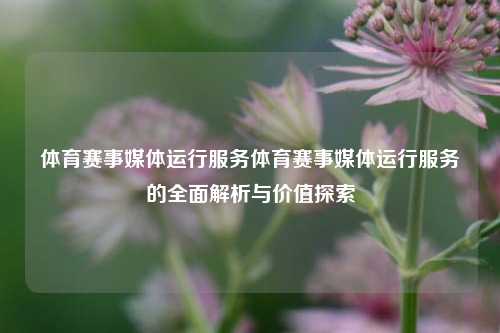 体育赛事媒体运行服务体育赛事媒体运行服务的全面解析与价值探索