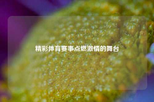 精彩体育赛事点燃激情的舞台