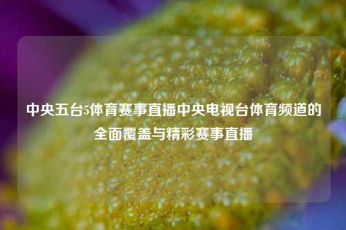 中央五台5体育赛事直播中央电视台体育频道的全面覆盖与精彩赛事直播
