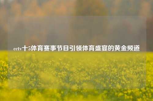 cctv十5体育赛事节目引领体育盛宴的黄金频道