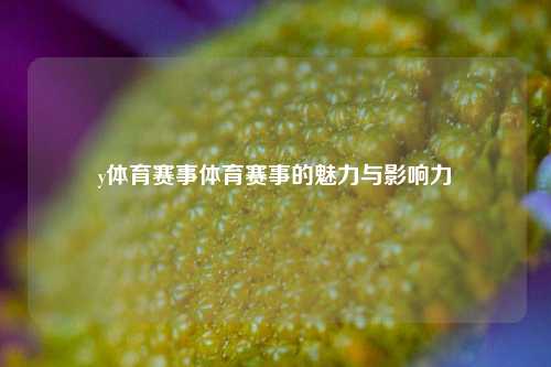 y体育赛事体育赛事的魅力与影响力
