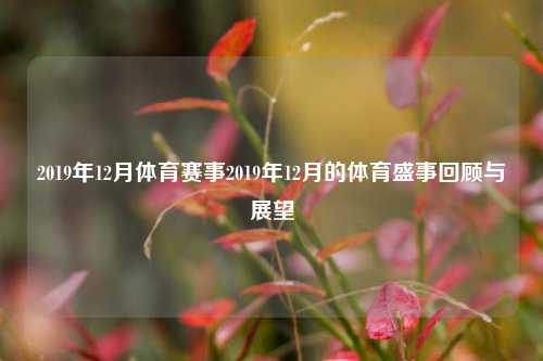 2019年12月体育赛事2019年12月的体育盛事回顾与展望