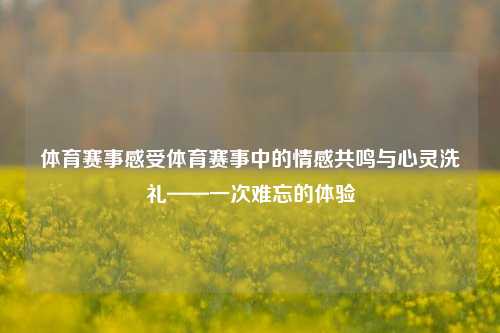 体育赛事感受体育赛事中的情感共鸣与心灵洗礼——一次难忘的体验