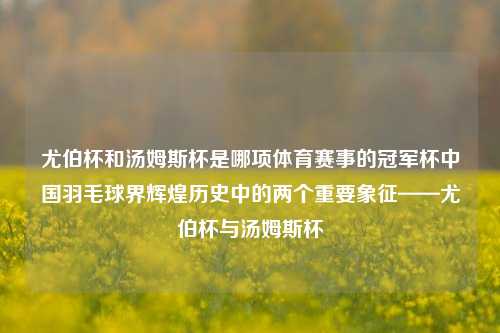 尤伯杯和汤姆斯杯是哪项体育赛事的冠军杯中国羽毛球界辉煌历史中的两个重要象征——尤伯杯与汤姆斯杯