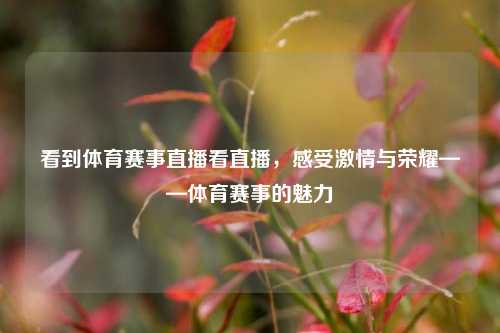 看到体育赛事直播看直播，感受激情与荣耀——体育赛事的魅力