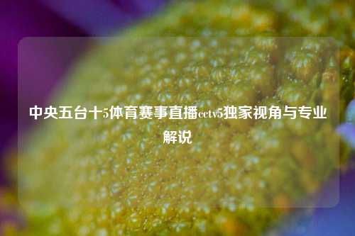 中央五台十5体育赛事直播cctv5独家视角与专业解说