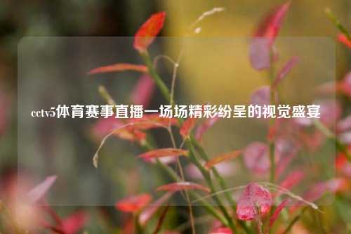 cctv5体育赛事直播一场场精彩纷呈的视觉盛宴