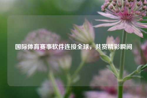 国际体育赛事软件连接全球，共赏精彩瞬间