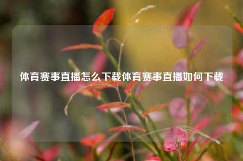 体育赛事直播怎么下载体育赛事直播如何下载