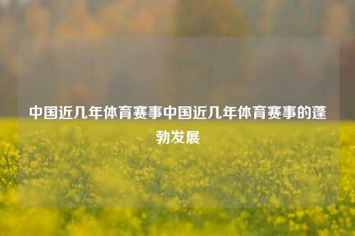 中国近几年体育赛事中国近几年体育赛事的蓬勃发展