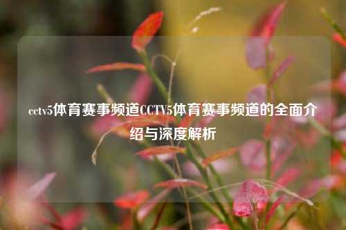 cctv5体育赛事频道CCTV5体育赛事频道的全面介绍与深度解析