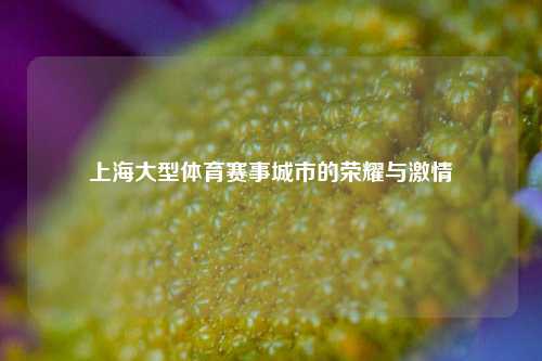 上海大型体育赛事城市的荣耀与激情