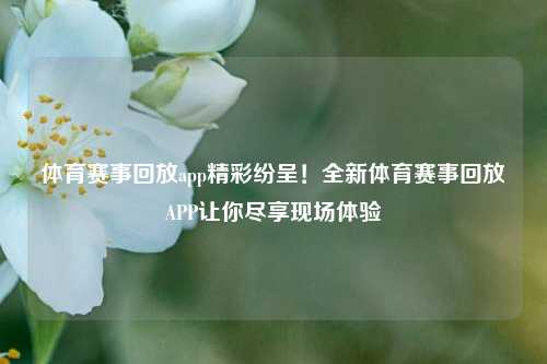 体育赛事回放app精彩纷呈！全新体育赛事回放APP让你尽享现场体验