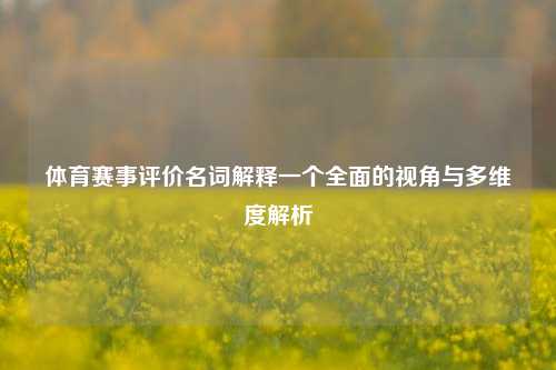 体育赛事评价名词解释一个全面的视角与多维度解析