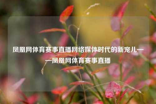 凤凰网体育赛事直播网络媒体时代的新宠儿——凤凰网体育赛事直播