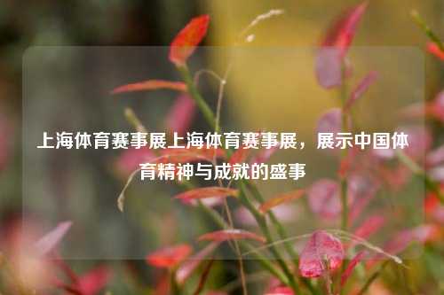 上海体育赛事展上海体育赛事展，展示中国体育精神与成就的盛事
