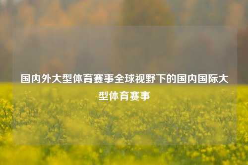 国内外大型体育赛事全球视野下的国内国际大型体育赛事