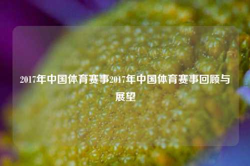 2017年中国体育赛事2017年中国体育赛事回顾与展望