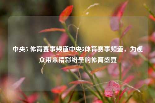 中央5 体育赛事频道中央5体育赛事频道，为观众带来精彩纷呈的体育盛宴