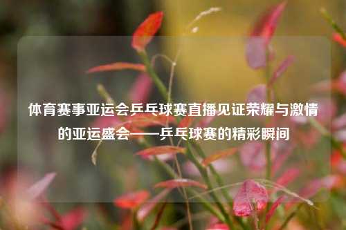 体育赛事亚运会乒乓球赛直播见证荣耀与激情的亚运盛会——乒乓球赛的精彩瞬间