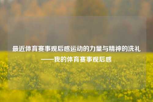 最近体育赛事观后感运动的力量与精神的洗礼——我的体育赛事观后感