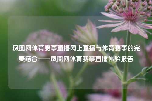 凤凰网体育赛事直播网上直播与体育赛事的完美结合——凤凰网体育赛事直播体验报告