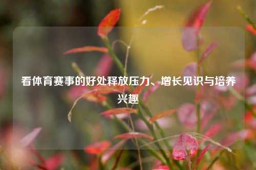 看体育赛事的好处释放压力、增长见识与培养兴趣