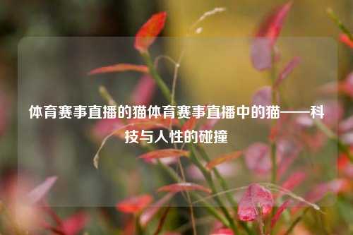体育赛事直播的猫体育赛事直播中的猫——科技与人性的碰撞