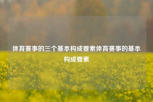 体育赛事的三个基本构成要素体育赛事的基本构成要素
