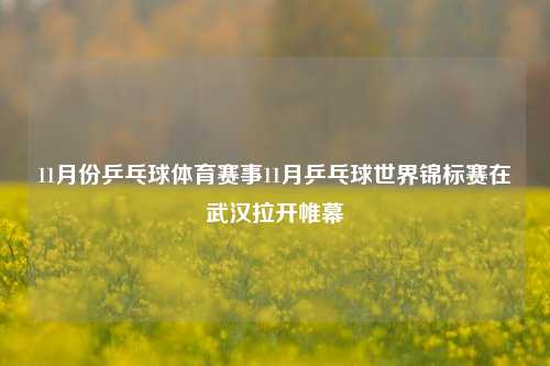 11月份乒乓球体育赛事11月乒乓球世界锦标赛在武汉拉开帷幕